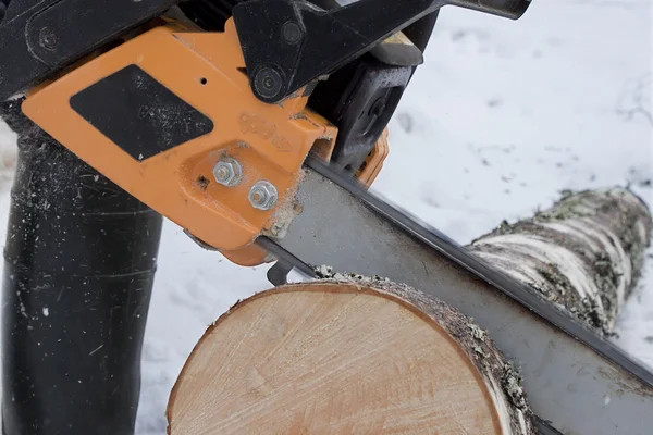 Chainsaw sawing logs birch — Stock Photo, Image