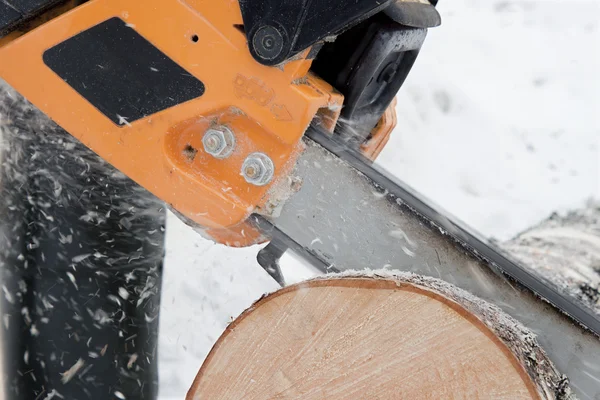 Chainsaw sawing logs birch — Stock Photo, Image