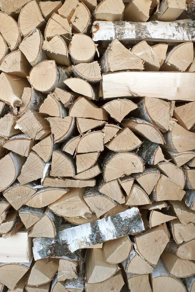 Jurnalele de mesteacăn sunt stivuite în lemn — Fotografie, imagine de stoc