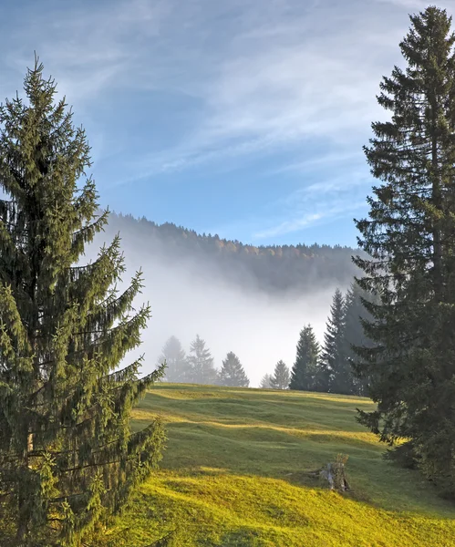 Nebel — Stok fotoğraf