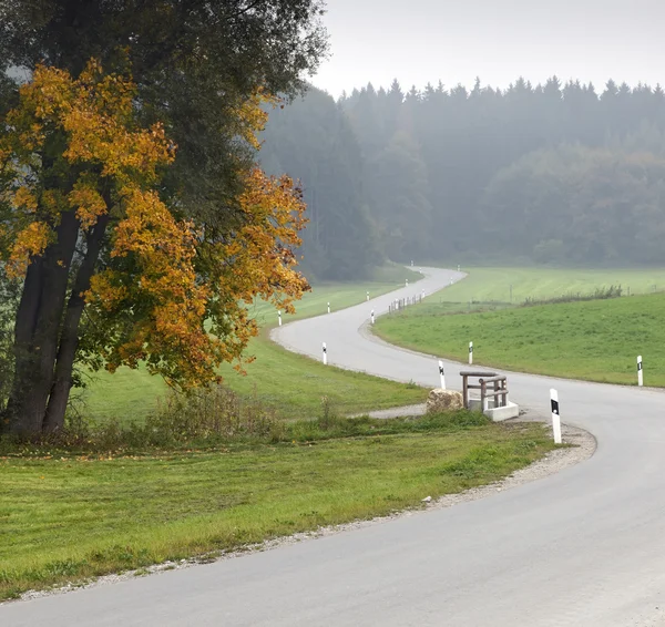 stock image Nebel