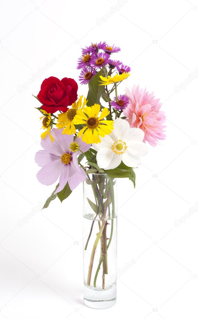 Flowers — Stock Photo © magann #4020725