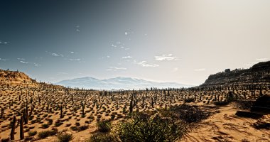 Arizona.