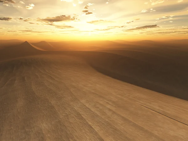 Desert sunset — Stock Photo, Image