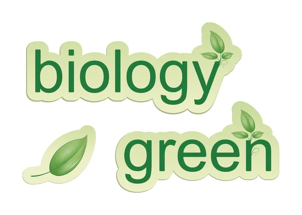 Зображення Деяких Веб Іконок Зеленої Біології Листа — стокове фото