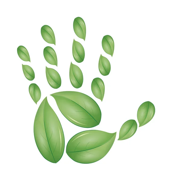 Image Green Hand Leafs — Stock Photo, Image