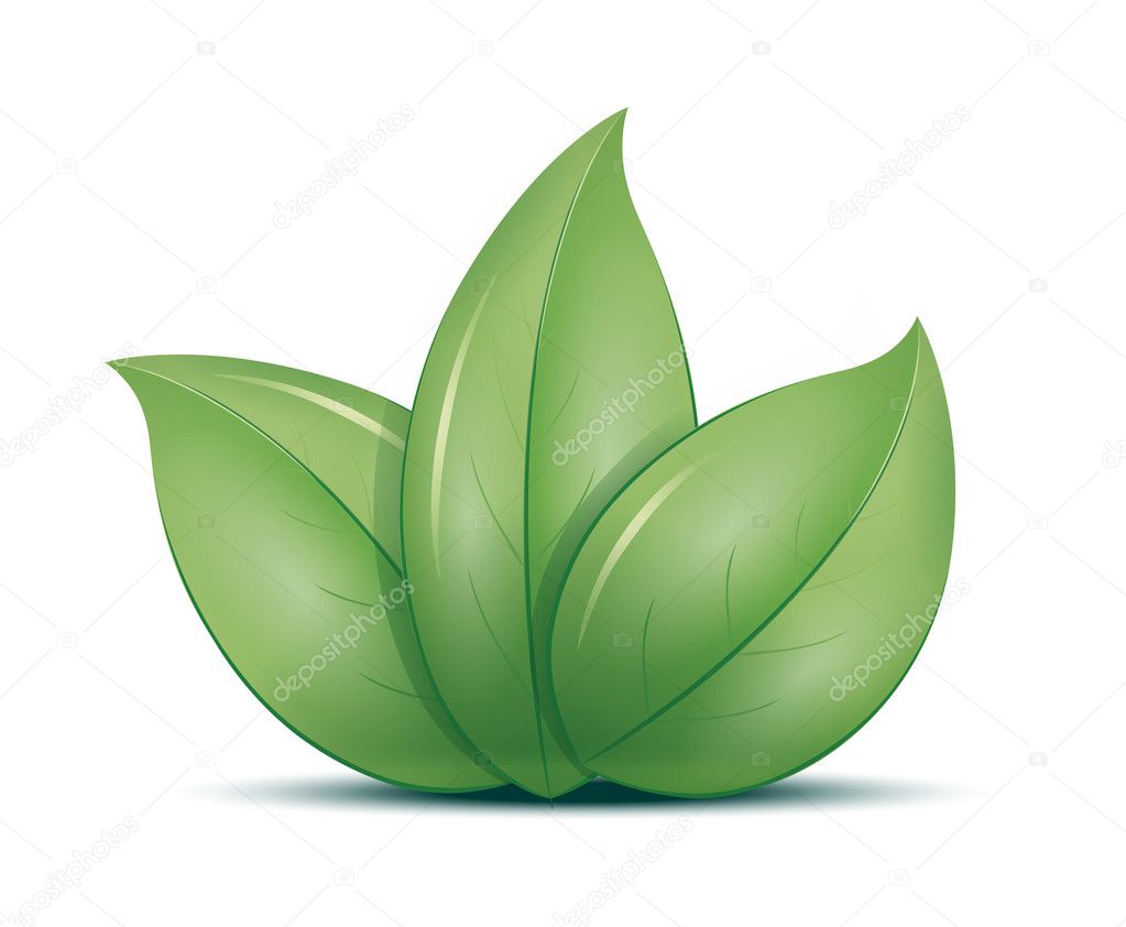An image of three green leafs icon