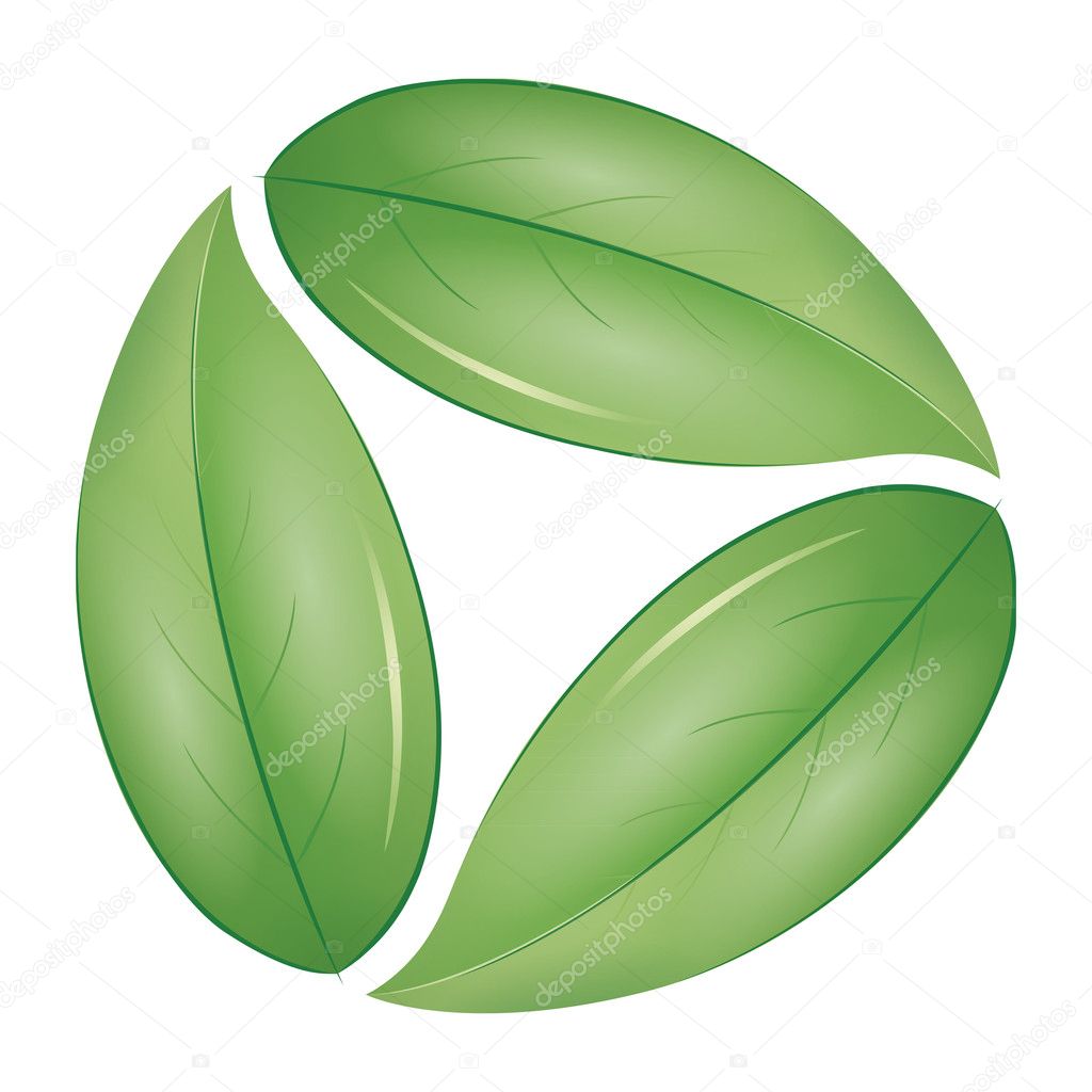 An image of three nice green leafs