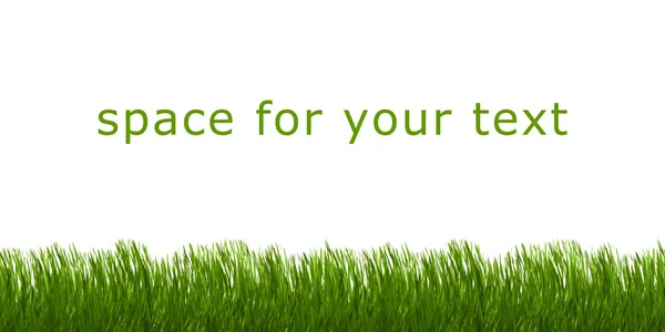 图像的绿草 您的文本的空间 — 图库照片