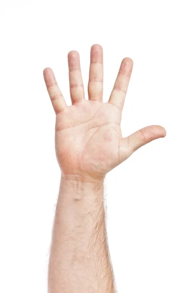 Пять пальцев — стоковое фото
