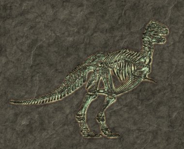 T-rex skeleton clipart