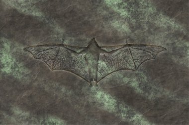 Petrified bat clipart