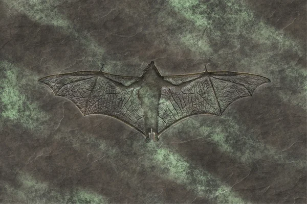 Morcego petrificado — Fotografia de Stock