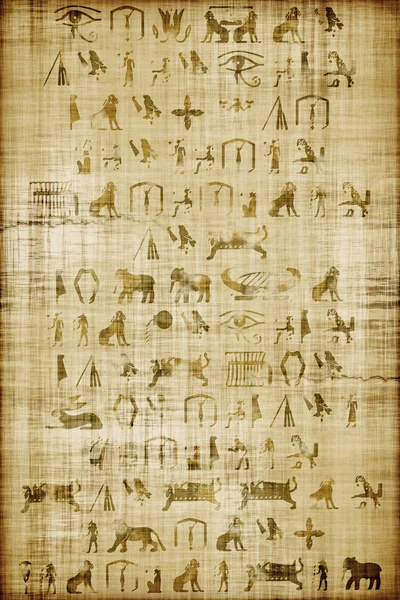 Papyrus — Stockfoto
