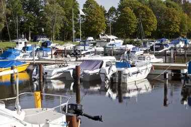 zevk harbor