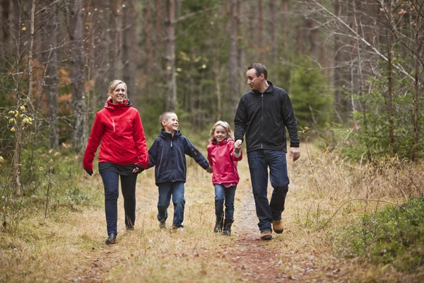 stock image Walking Family