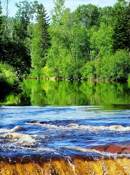 Зеленый лес отражается и водопад — стоковое фото