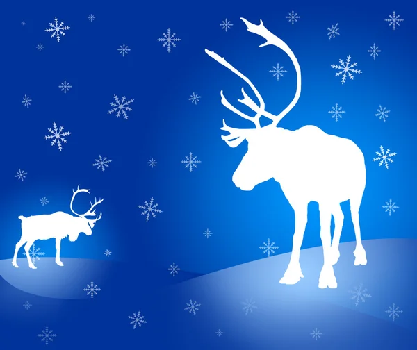 Two caribou reindeer Christmas card — Stock Photo, Image