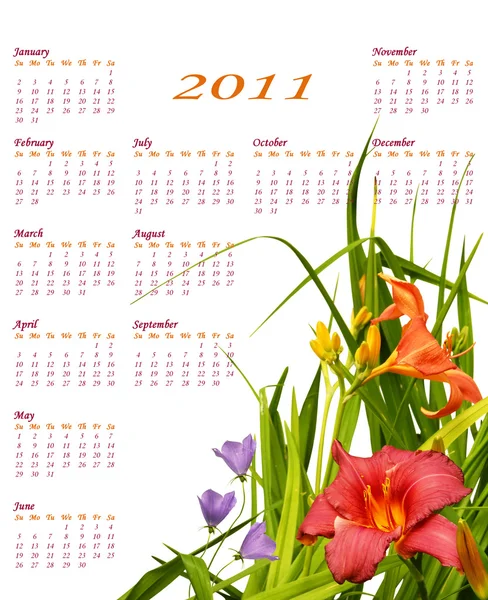 2011 Calendário floral — Fotografia de Stock