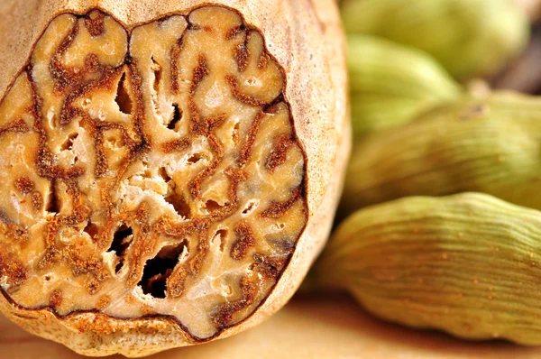 Мускатный орех и кардамон — стоковое фото