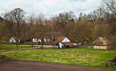 Traditional Flemish village in Belgium with grazing donkeys clipart