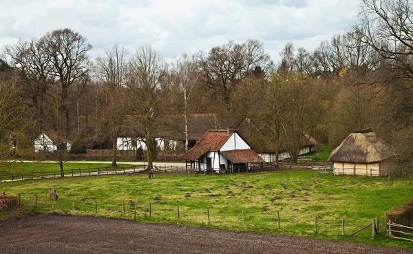 Traditional Flemish Village Belgium Grazing Donkeys — Stock Photo, Image