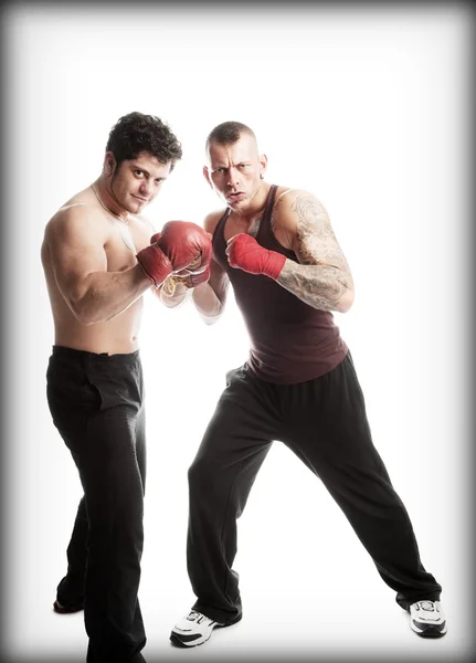 Ready to fight — Stock Photo, Image