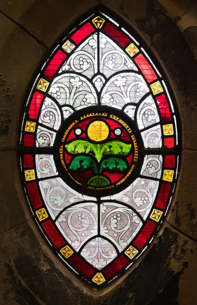 stock image Gothic window from stained glass