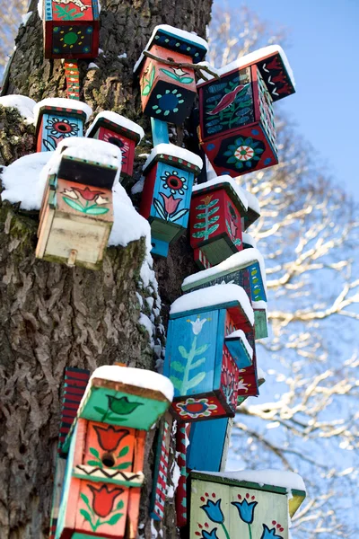 Nesting Boxes Snow Covered Tree Winter Forest — Stock Photo, Image