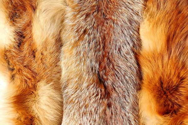 The fox fur Royalty Free Stock Photos
