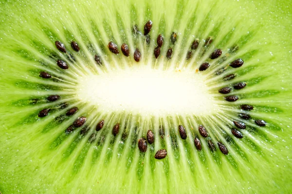 Stock image Kiwi