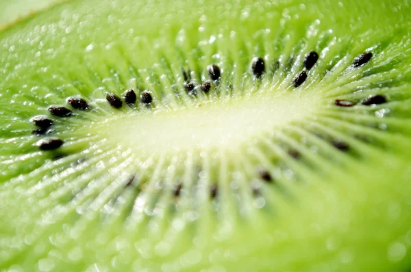 stock image Kiwi