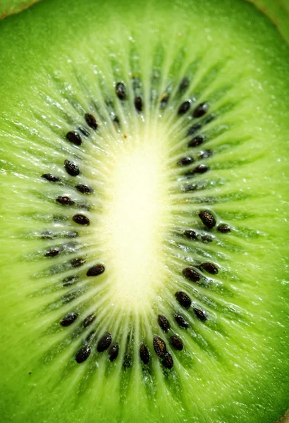 stock image Kiwi