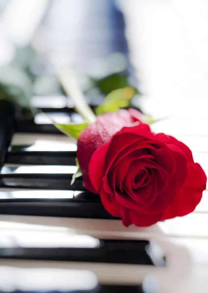 Czerwona Róża Klawiatury Fortepianu — Zdjęcie stockowe
