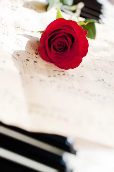 Rosa Roja Teclado Del Piano —  Fotos de Stock
