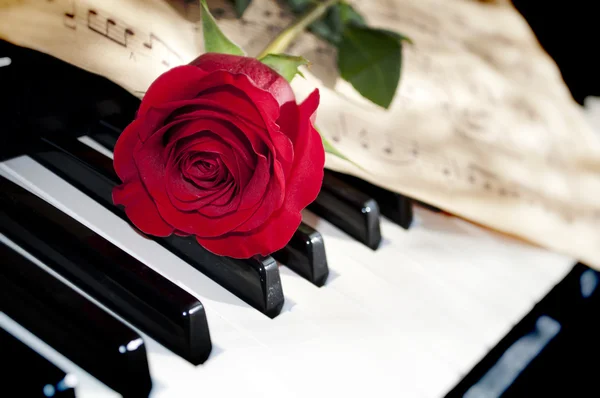 Rose and piano — Stock Photo, Image
