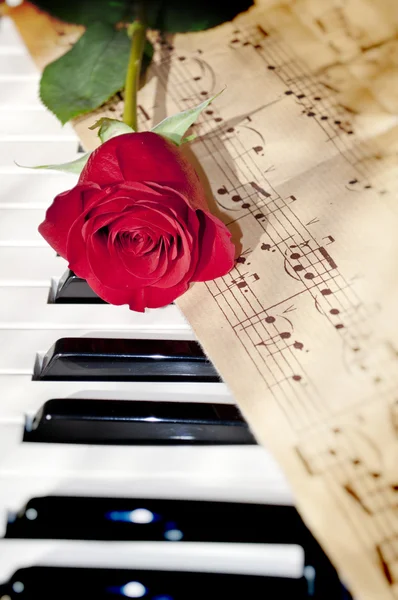 Rosa Roja Teclado Del Piano Hoja Notas —  Fotos de Stock