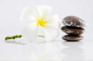gri zemin üzerine beyaz frangipani ve terapi taşlar