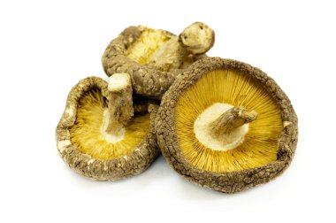 Shiitake Mushroom clipart