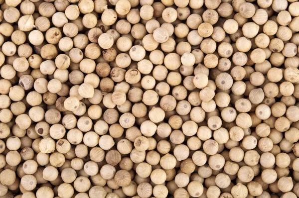 White peppercorns — Stock Photo, Image