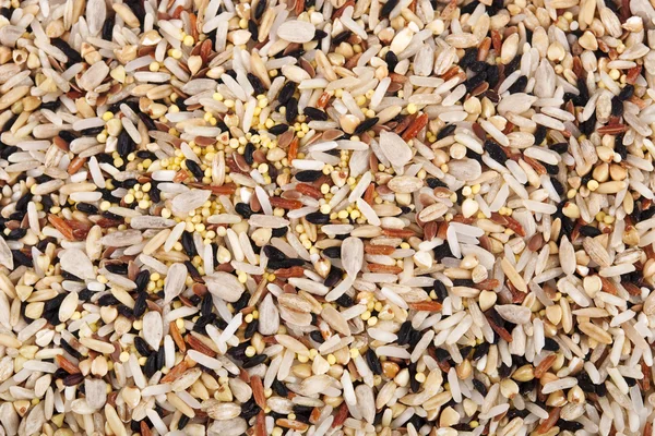 原料の穀物 — ストック写真