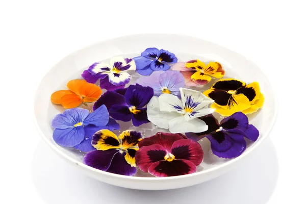 Deska s vodou plout květ — Stock fotografie