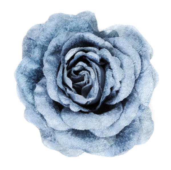 Růže modré tkaniny — Stock fotografie