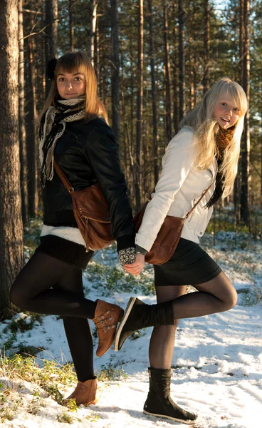 Zwei junge schöne Mädchen — Stockfoto