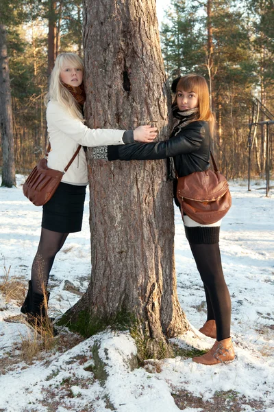 Två vackra unga flickor — Stockfoto