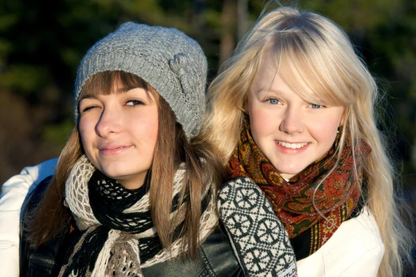 Портрет двух молодых красивых девушек — стоковое фото