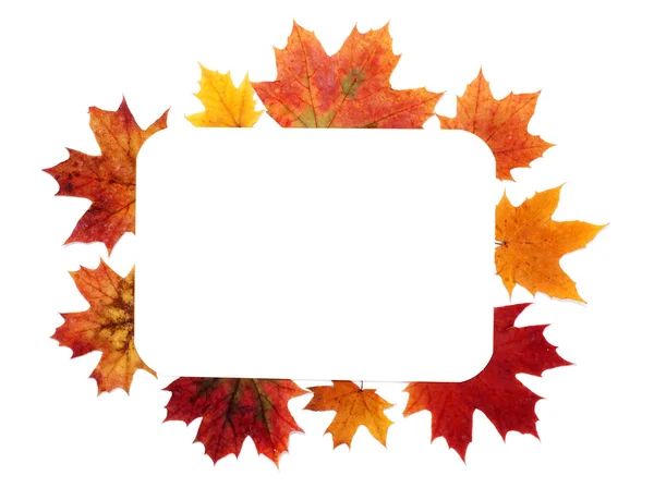 Autumn sheet by frame — Stock Photo, Image