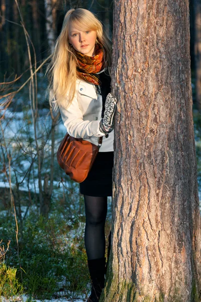 Блондинка ищет ствол дерева в осеннем лесу — стоковое фото