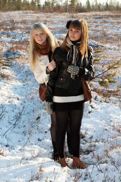 Dwie młode piękne dziewczyny — Zdjęcie stockowe