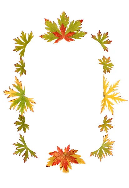 Autumn sheet by frame — Stock Photo, Image